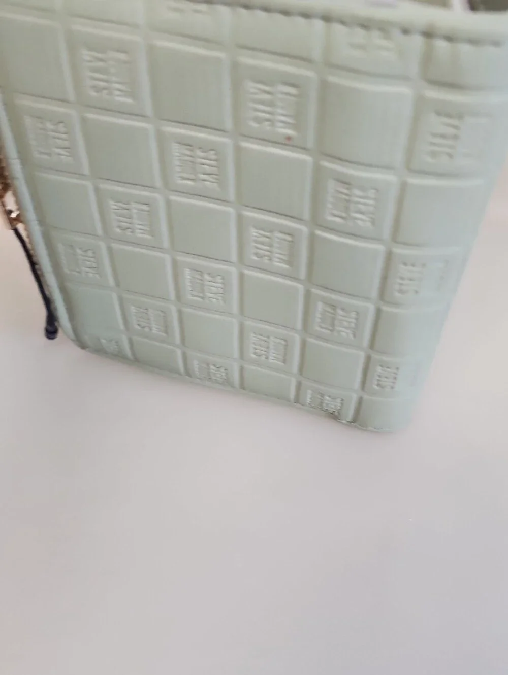 Steve Madden Pale Mint Wallet with Gold SM Accent